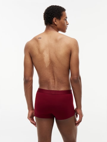 Boxers Tommy Hilfiger Underwear en bleu