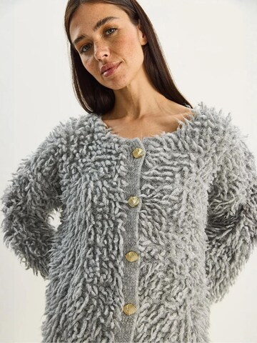 Bianco Lucci Gebreid vest in Grijs