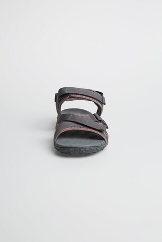 CAMP DAVID Hiking Sandals in Grey