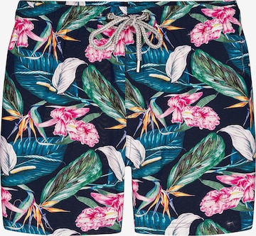 Shorts de bain ' Roscoe Green ' Bondi Joe en mélange de couleurs : devant