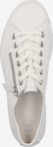 Paul Green Sneakers in White