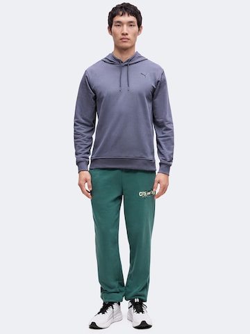 Sweat de sport 'TAD ESSENTIALS' PUMA en gris
