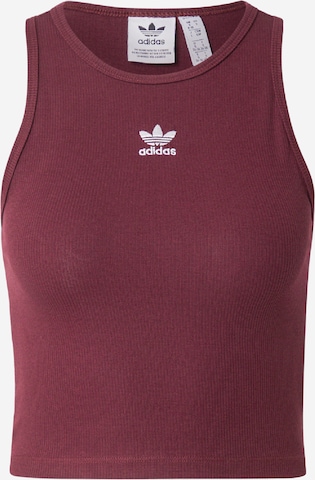 ADIDAS ORIGINALS Top 'Adicolor Essentials' w kolorze brązowy: przód