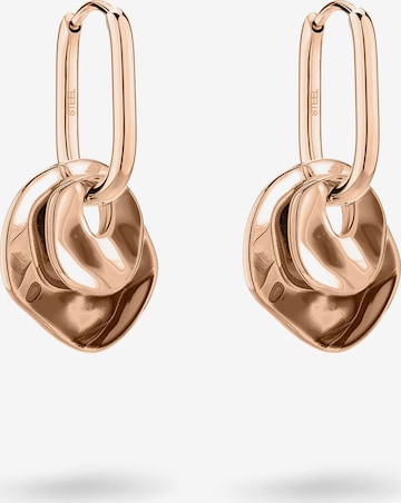 Liebeskind Berlin Ohrringe in Gold: Vorderseite
