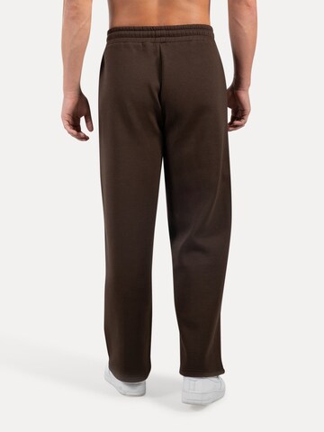 Regular Pantalon Smilodox en marron