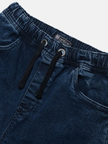 Ombre Regular Shorts 'W362' in Blau