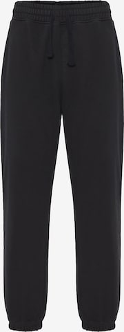 Funky Buddha Tapered Housut värissä harmaa: etupuoli