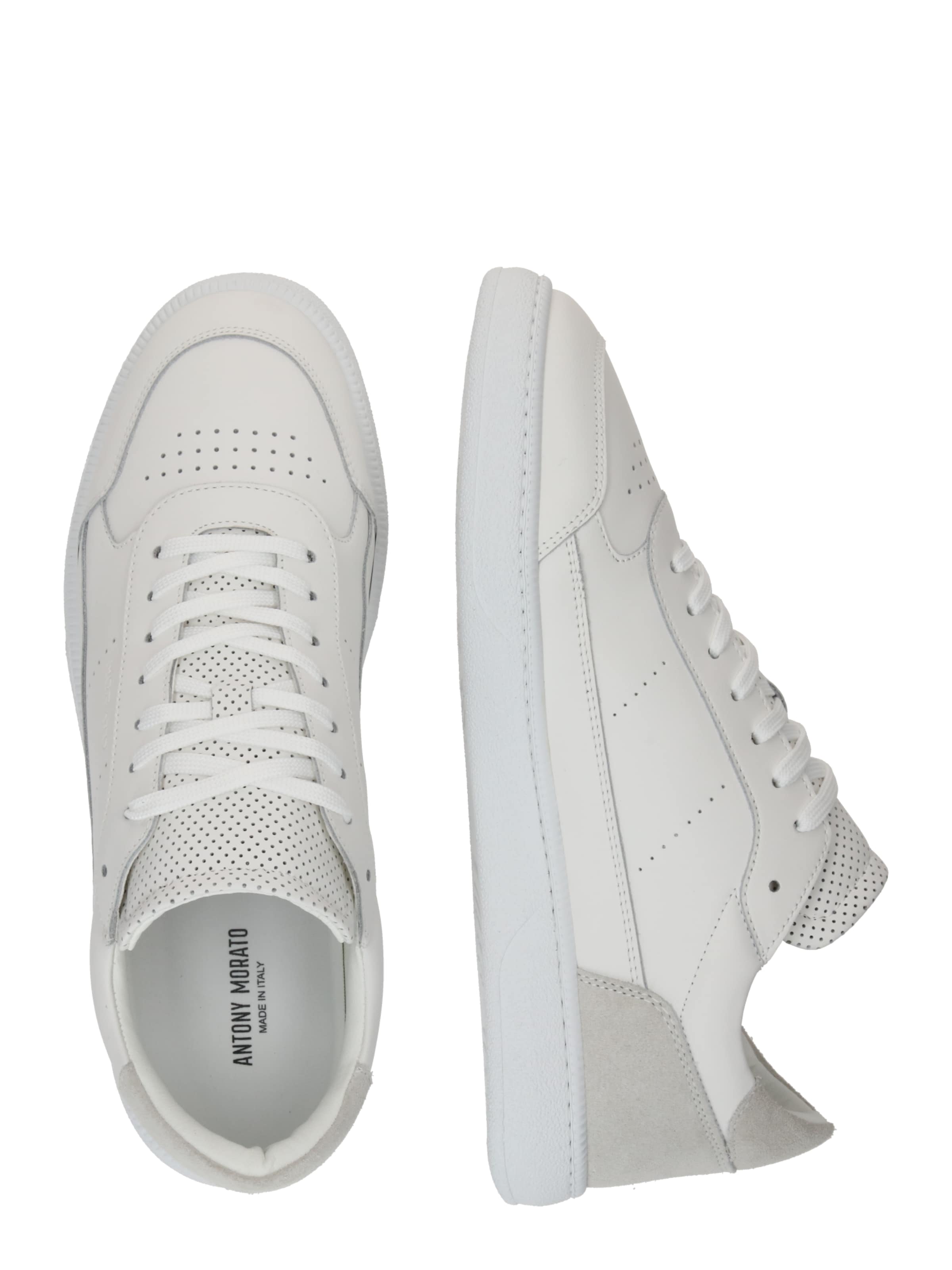 ANTONY MORATO Nizke superge | bela barva
