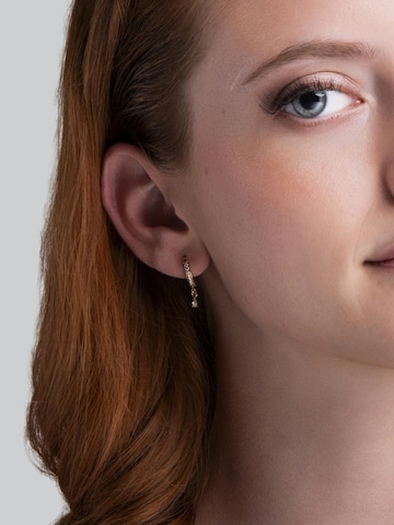 Amberz Oorbellen 'Elle' in Goud