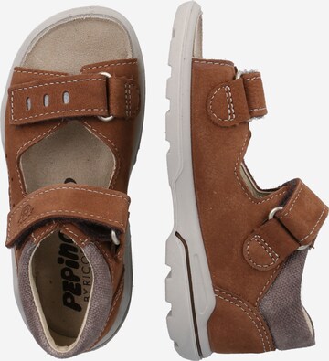 Pepino Sandals & Slippers 'Janko' in Brown
