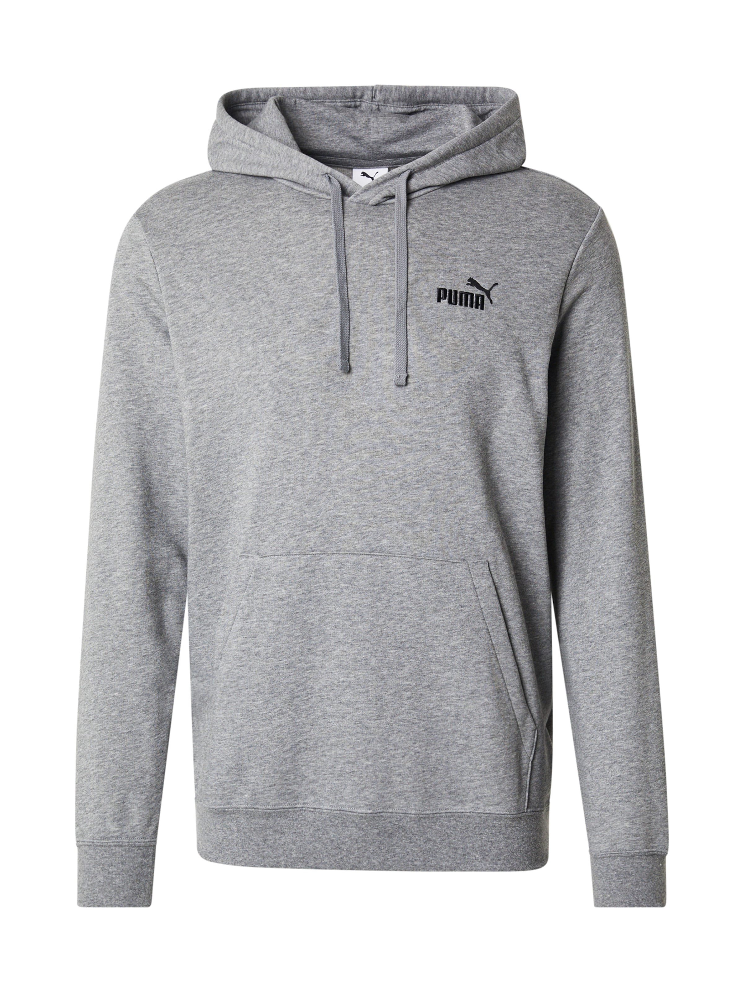 PUMA Sportsweatshirt &#x27;Essentials No. 1&#x27; in Grau: Vorderseite