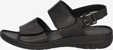 CAPRICE Sandals in Black