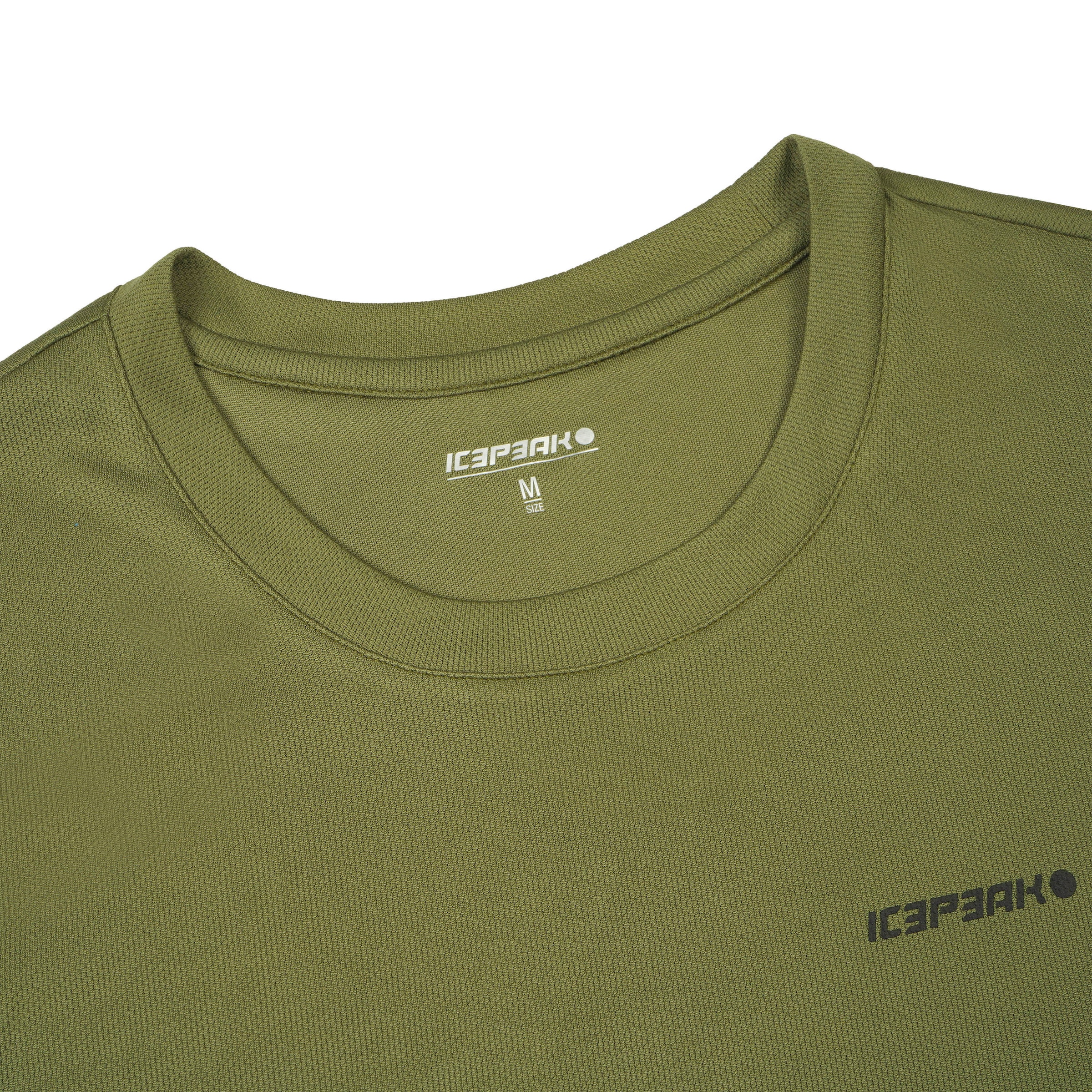 ICEPEAK Funktionsshirt 'Berne' in Grün