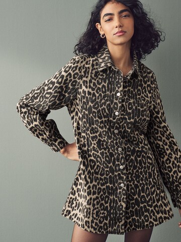 Next Shirt dress in Brown