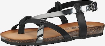 IGI&CO T-Bar Sandals in Black: front