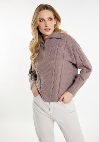 Pull-over 'Incus' DreiMaster Vintage en marron : devant