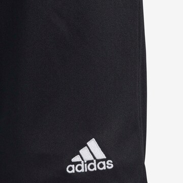 ADIDAS PERFORMANCE Regular Workout Pants 'Parma 16' in Black