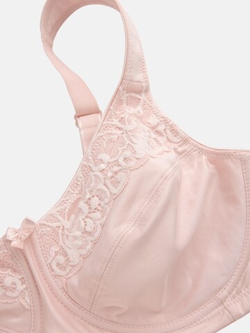Cellbes of Sweden Minimizer BH in Roze