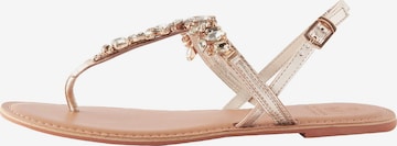 NextJapanke - zlatna boja: prednji dio