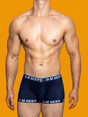 BIMONI Boxer shorts 'Netz' in Blue: front