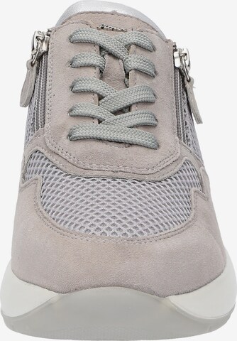 SIOUX Sneakers laag 'Segolia-714-J' in Grijs