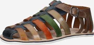 MELVIN & HAMILTON Sandals in Mixed colors: front