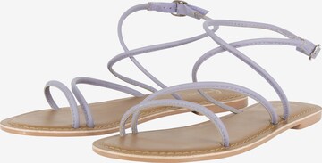 faina Sandalen met riem in Lila