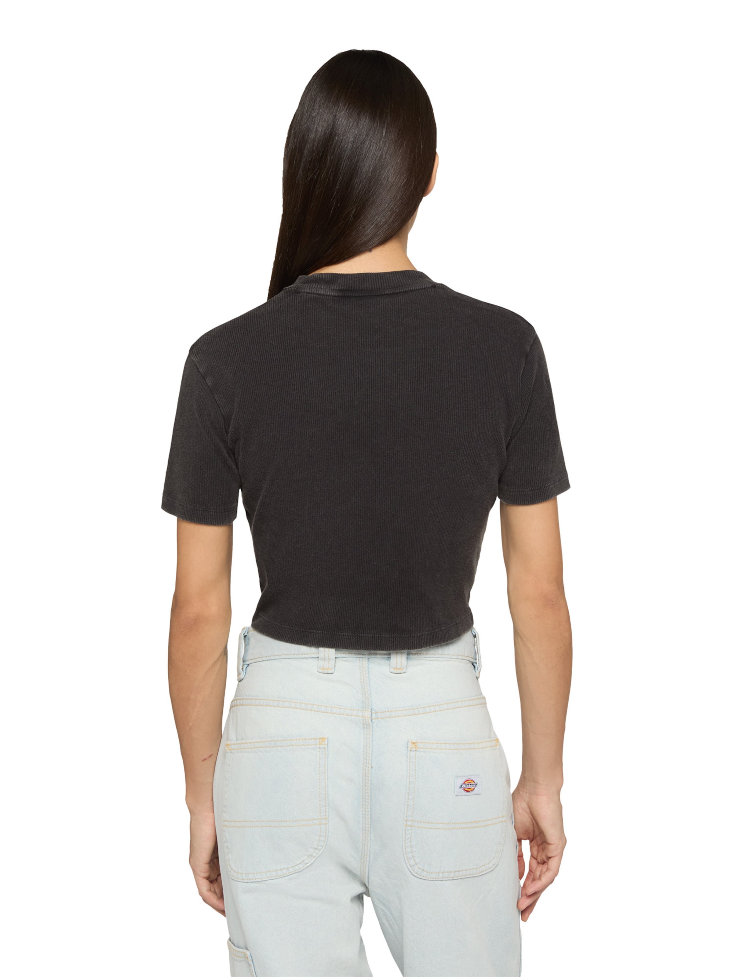 DICKIES T-Shirt 'Plentywood' in Schwarz