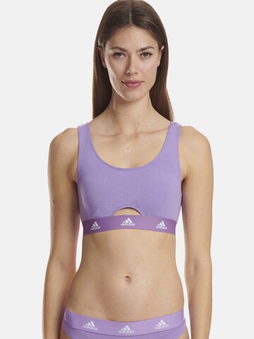 Bustier Soutien-gorge ' SCOOP BRALETTE ' ADIDAS SPORTSWEAR en violet : devant