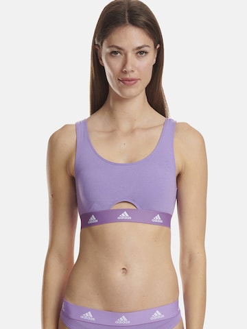 ADIDAS SPORTSWEAR Bustier Bustier ' SCOOP BRALETTE ' in Lila: predná strana