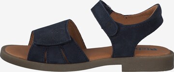 RICHTER Sandals in Blue