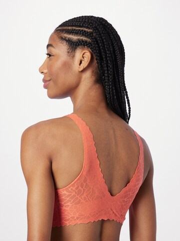 SLOGGI Bralette Bra 'Zero Feel Lace 2.0' in Orange