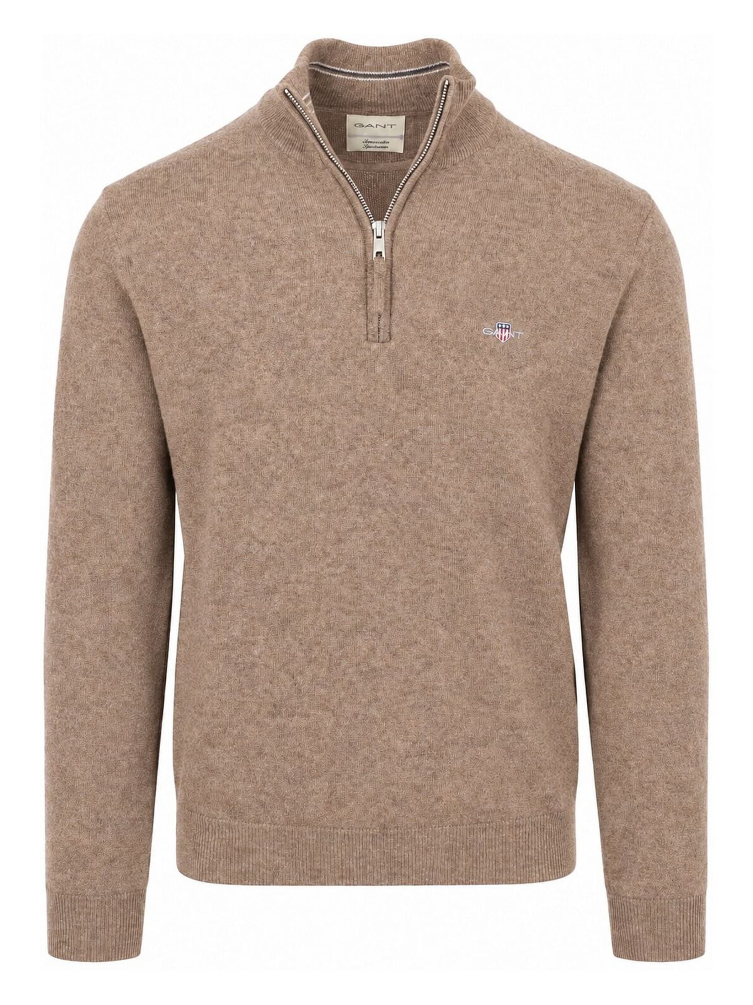 GANT Shirt in Brown: front