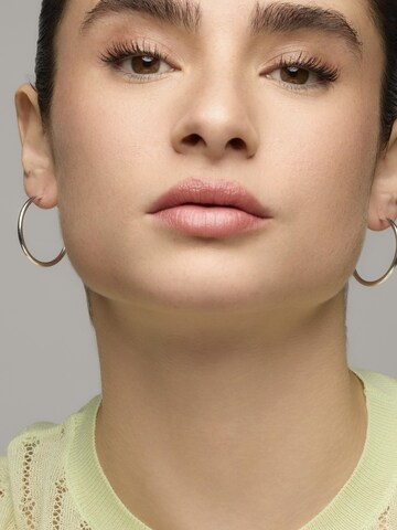 Luxenter Earrings 'Nianres' in Silver