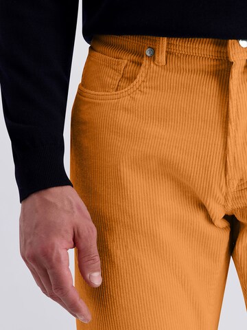 PIERRE CARDIN Regular Hose 'Laval' in Orange