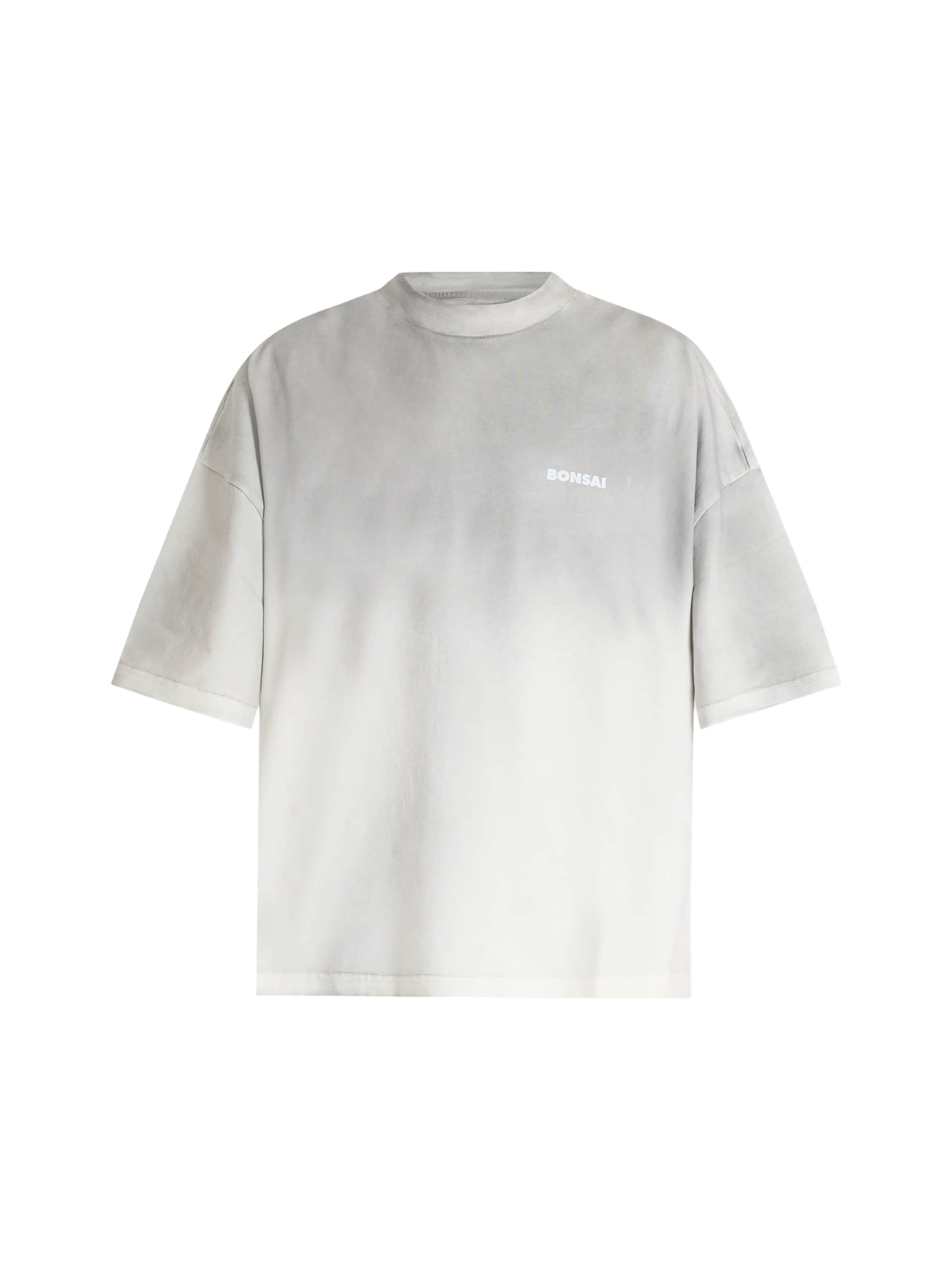 Bonsai Shirt in Grey: front