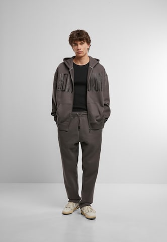 ROCAWEAR Regular Broek in Grijs