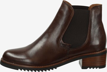 Everybody Chelsea boots in Bruin