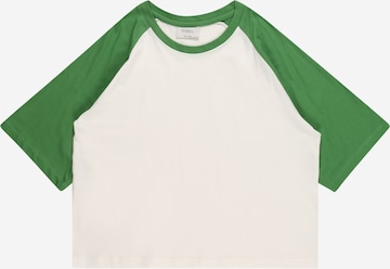 D-XEL Shirt 'CARMEN' in Groen: voorkant