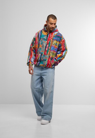 Colucci Sweatshirt in Gemengde kleuren
