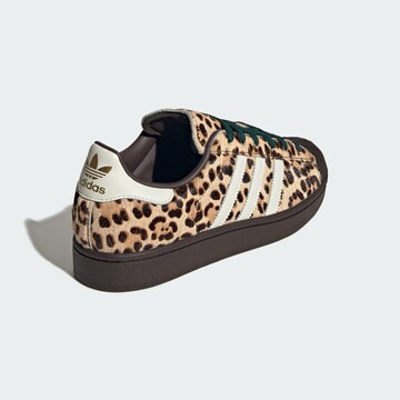Sneaker bassa 'Superstar II' di ADIDAS ORIGINALS in marrone