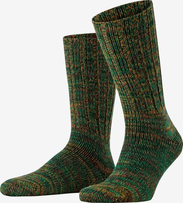 FALKE Socken 'Brooklyn' in Grün: Vorderseite