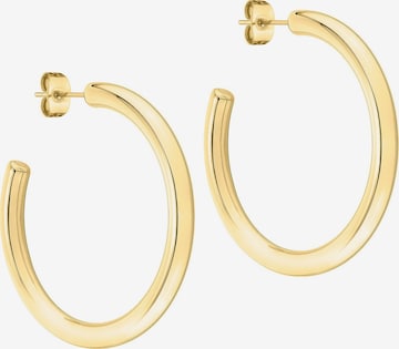 Liebeskind Berlin Earrings in Gold: front