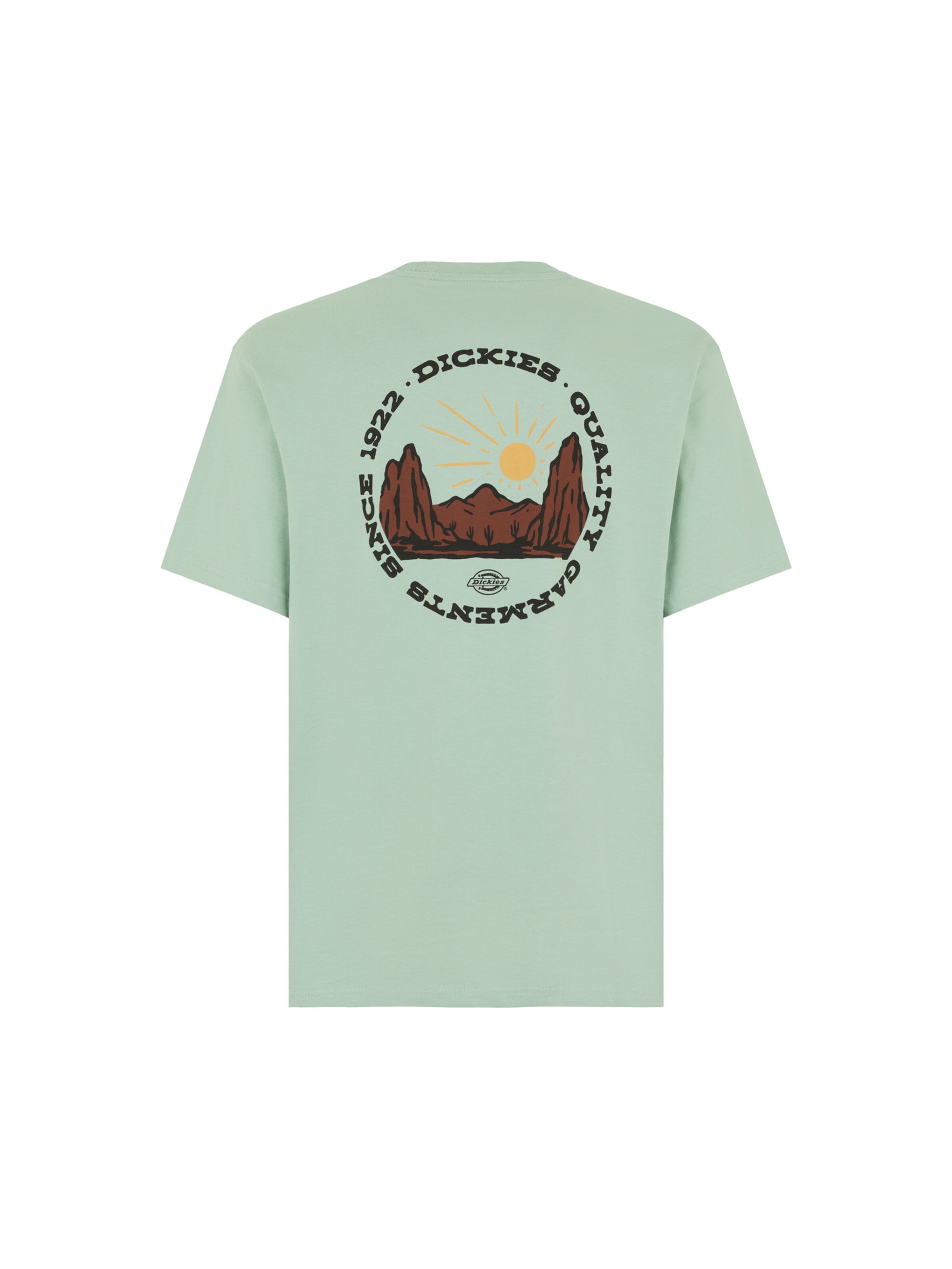 DICKIES Shirt in Groen