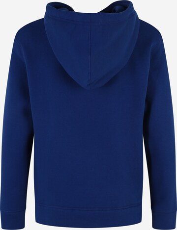 Felpa di TOMMY HILFIGER in blu