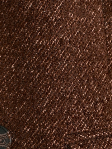Manteau d’hiver Dilvin en marron