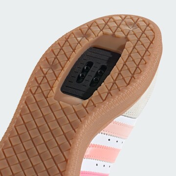ADIDAS PERFORMANCE Sportschuh 'Velosamba' in Weiß