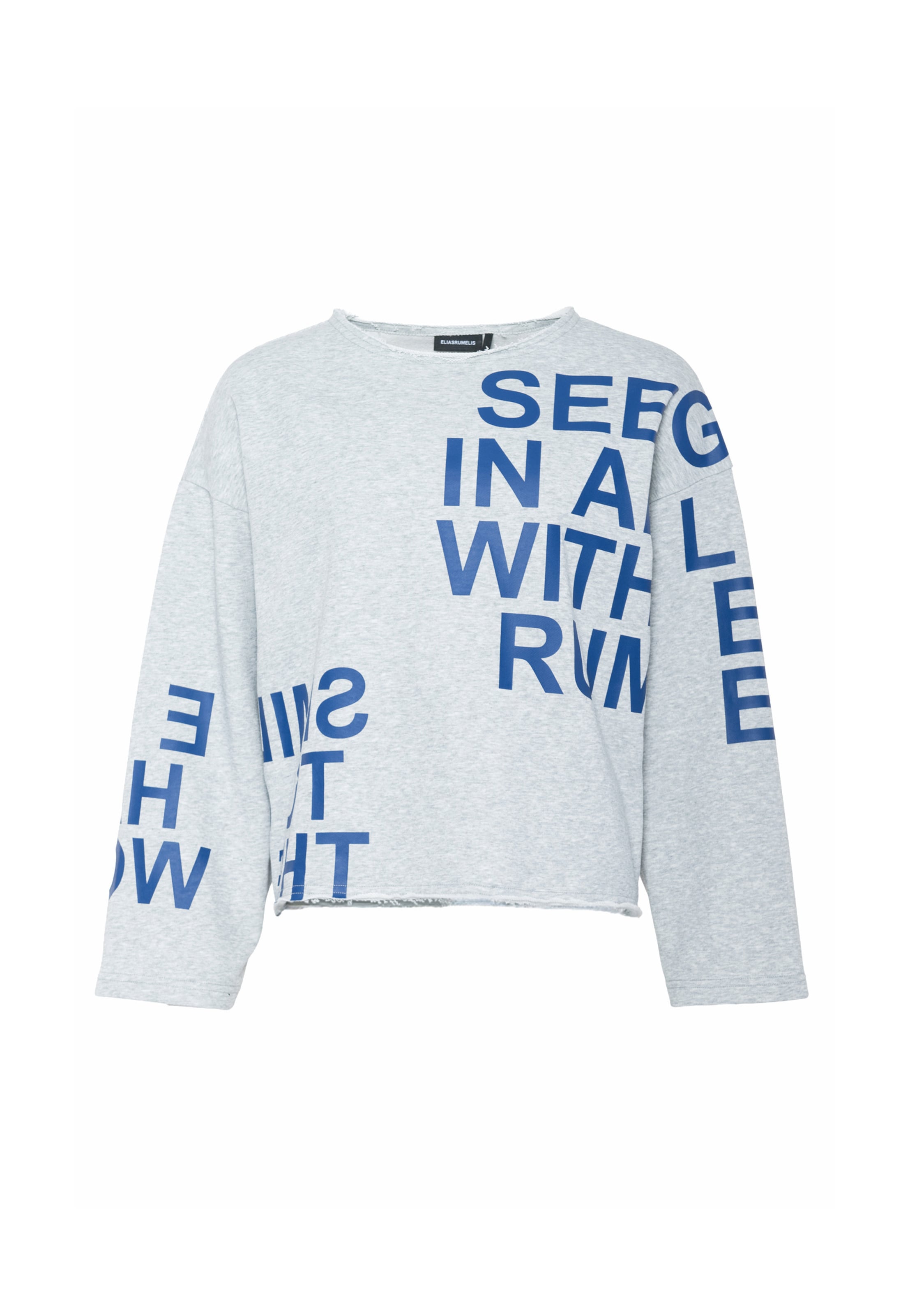 Sweat-shirt 'Mairyl' Elias Rumelis en gris : devant
