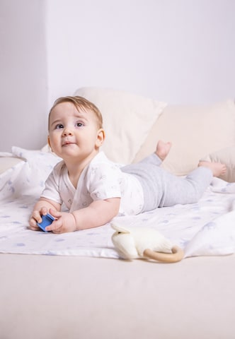 Tutina / body per bambino di Stellou & Friends in grigio: frontale