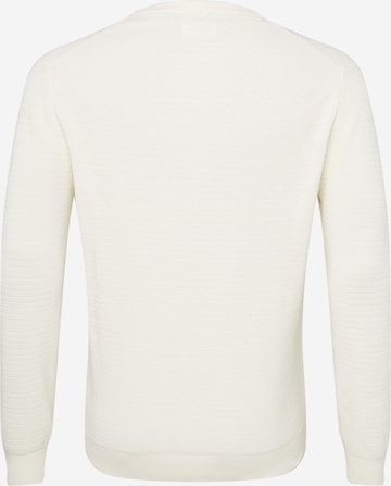 s.Oliver Men Big Sizes Sweater in Beige